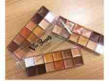 Vee beauty concealer palette 12 in 1