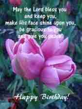 Have a Happy Birthday Tulip Studio
