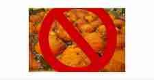 Fried Snacks